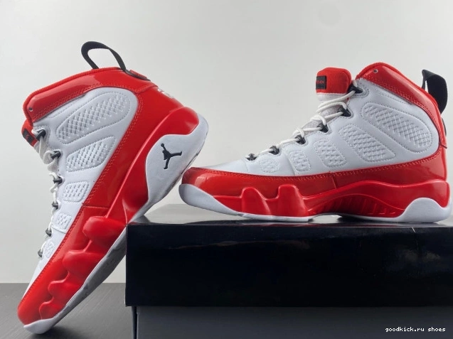 White Retro Air 302370-160 9 Red Gym Jordan 0717